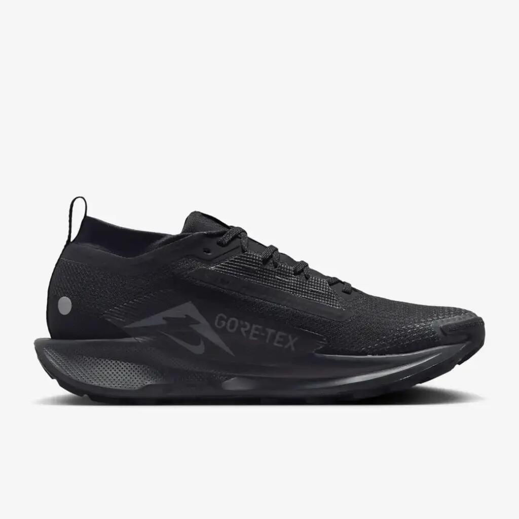 Chaussures pour homme Nike Pegasus trail 5 gtx Noir
