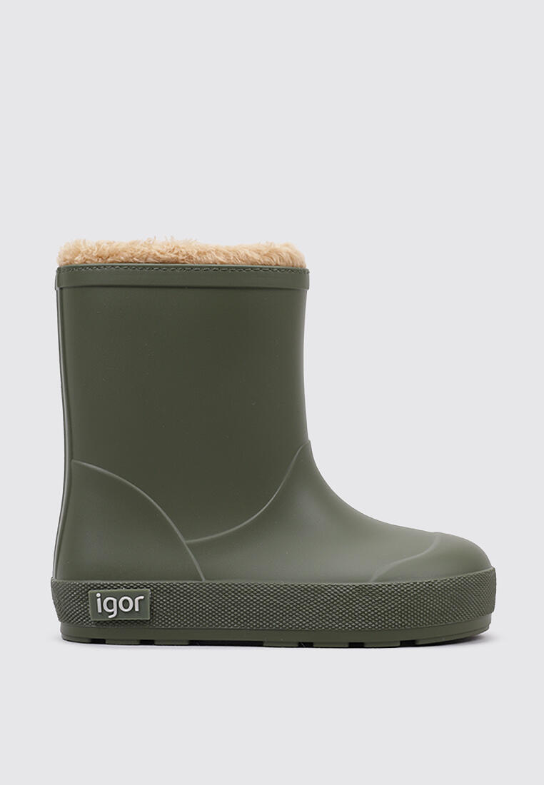 IGOR picture