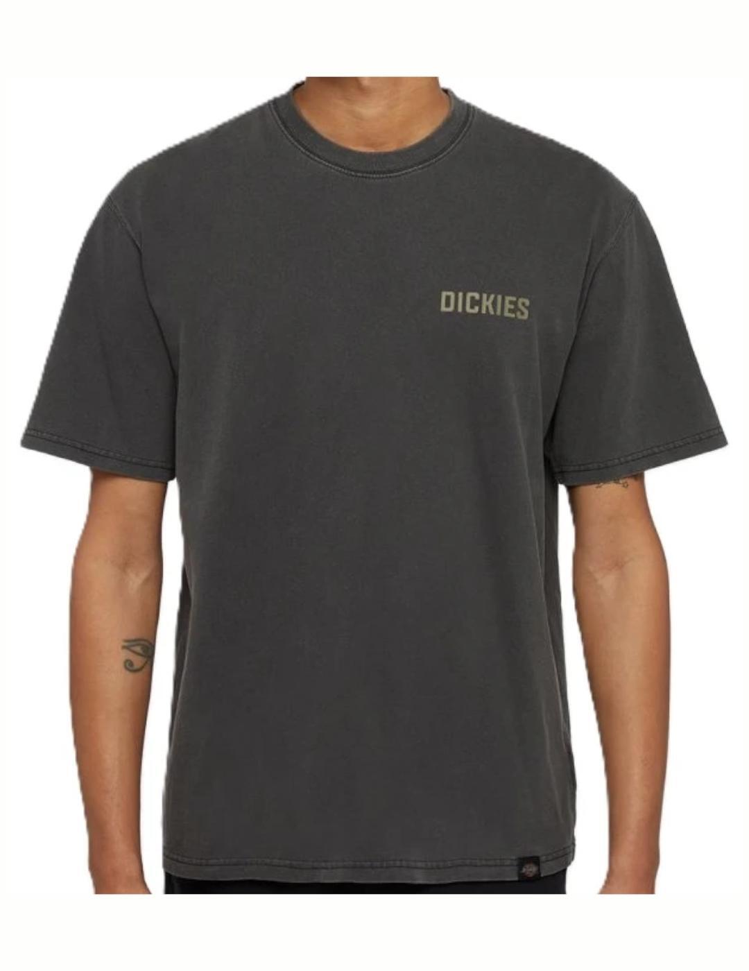 DICKIES picture