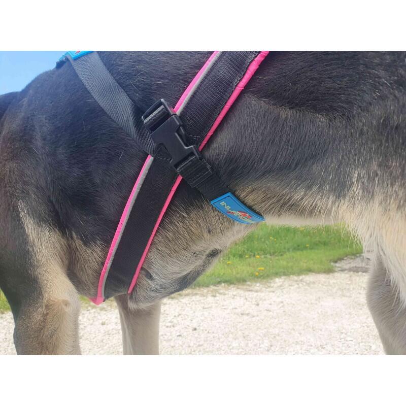Sous-ventrière de sécurité pour chien pour canicross 4/5