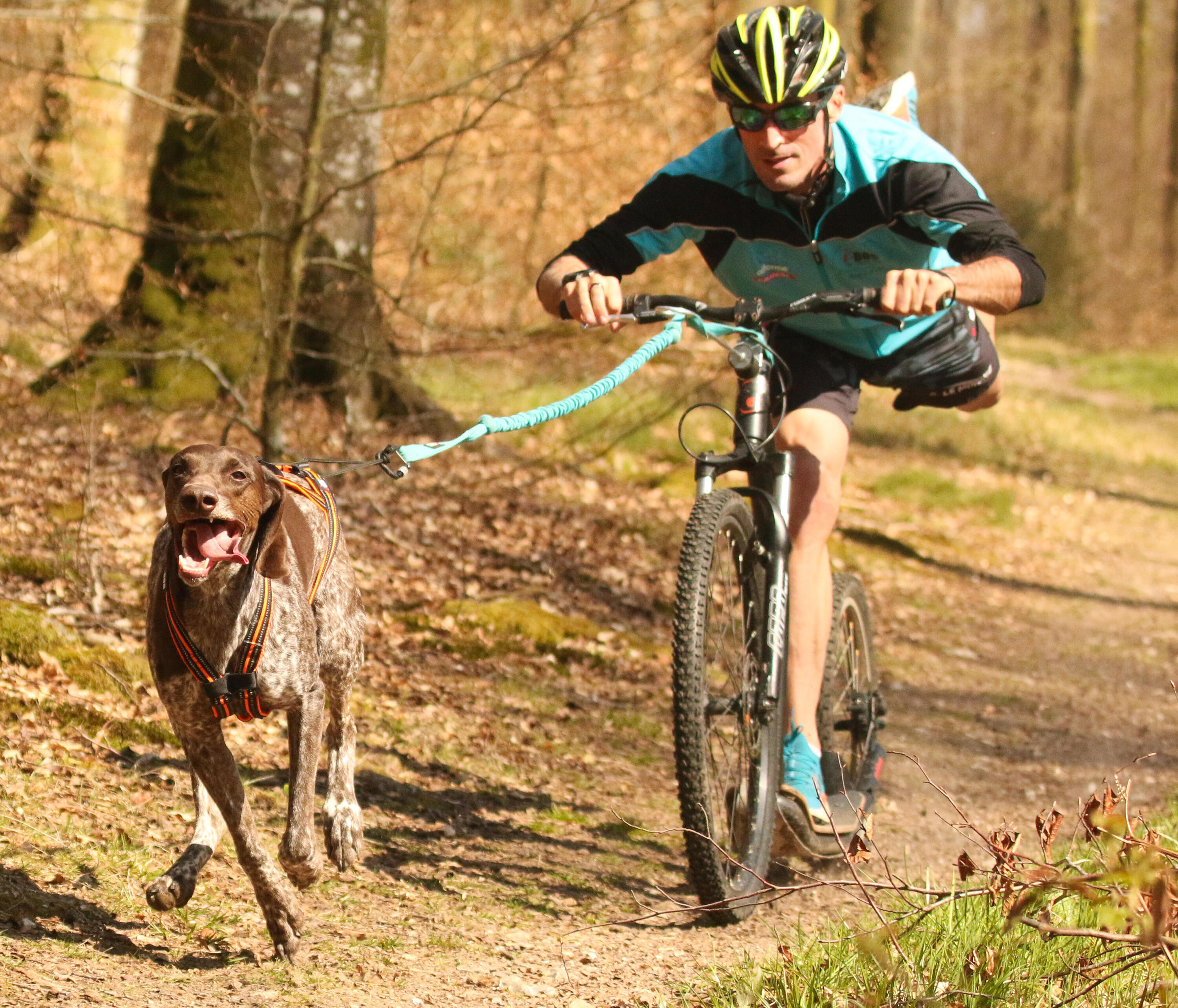 TIGE ALU 50CM - (BARRE VTT LINK) 4/5