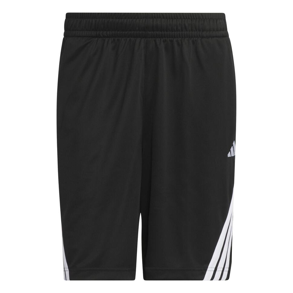 Szorty Legends 3-Stripes Basketball