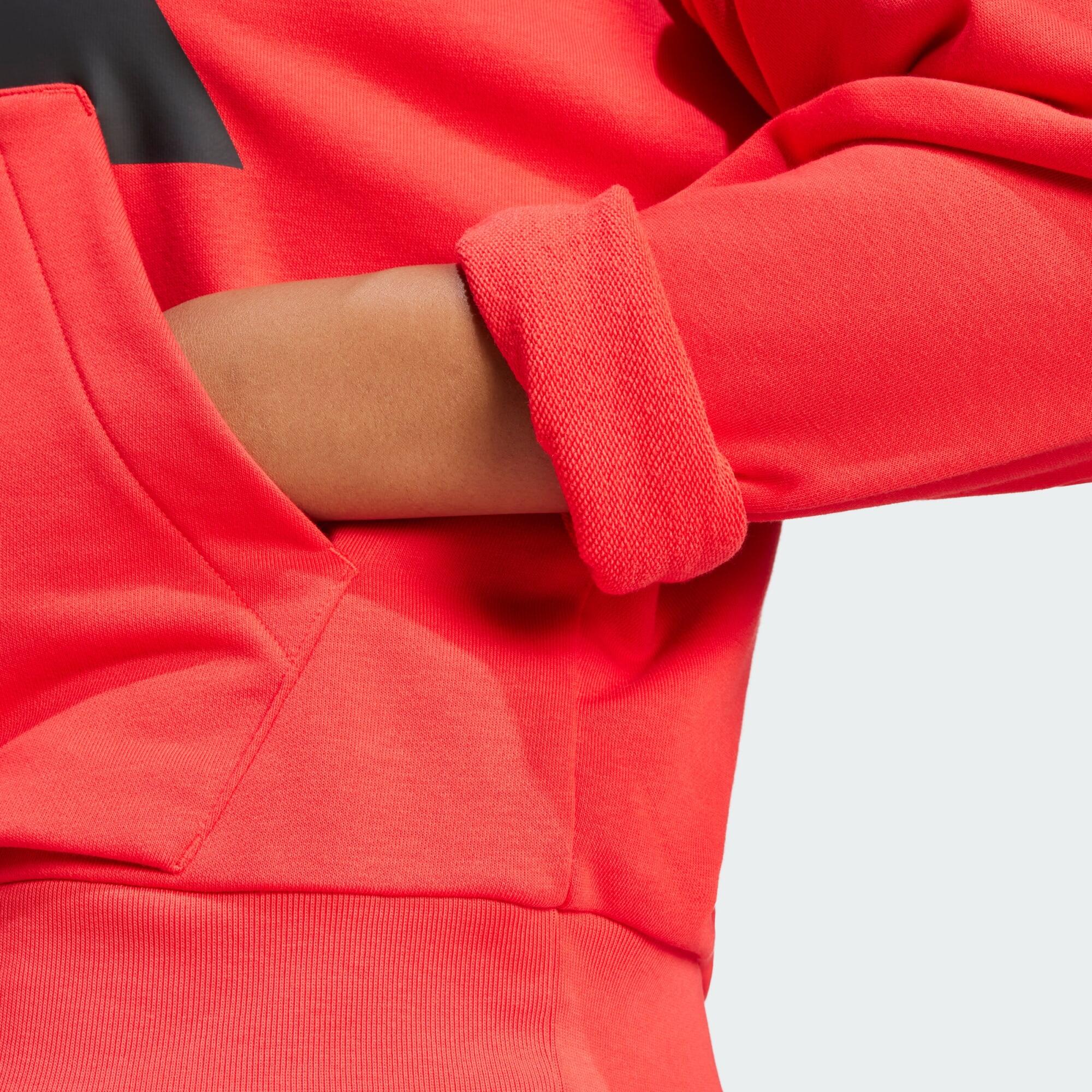 Felpa con cappuccio Essentials Big Logo French Terry Loose 4/5