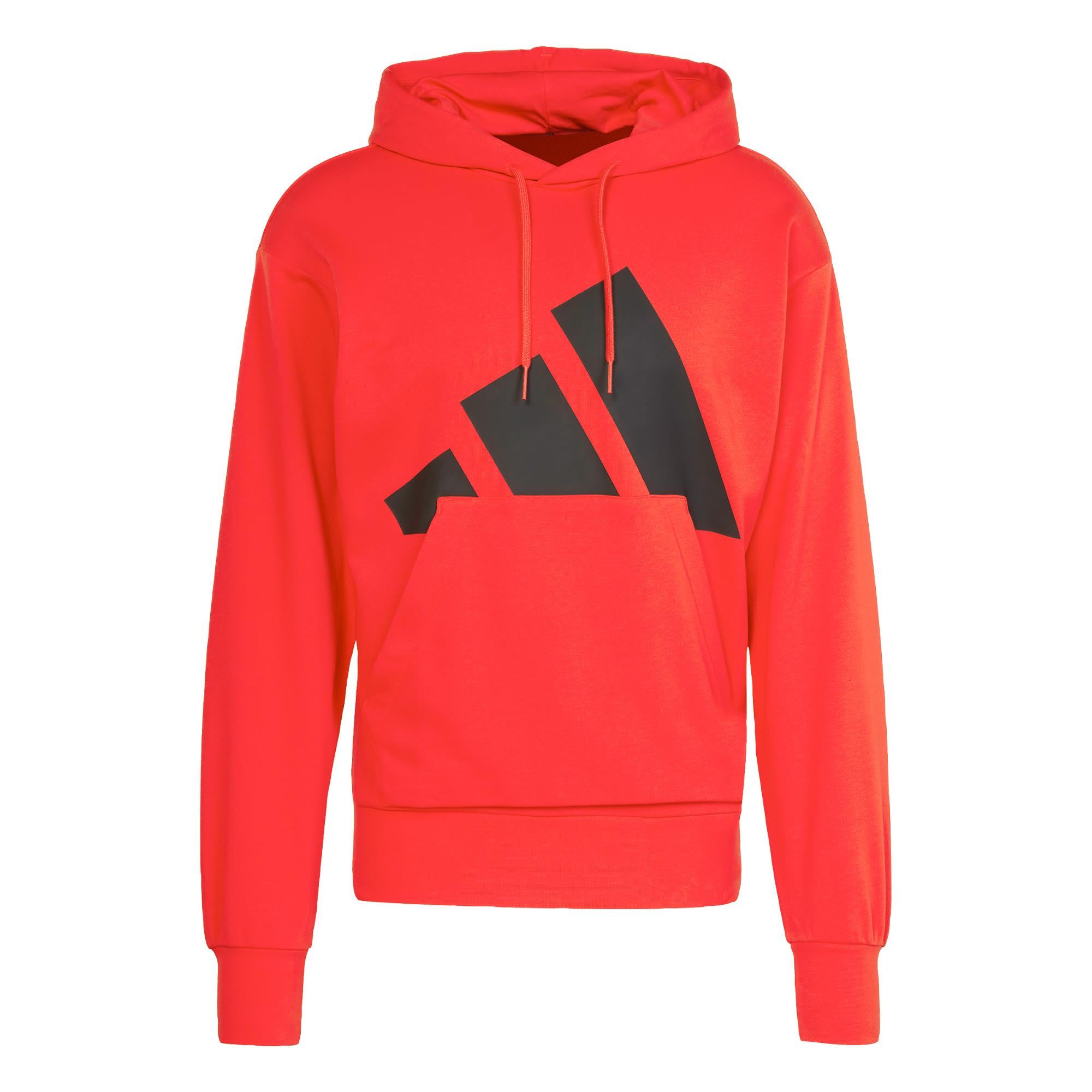 Essentials Big Logo French Terry Hoodie 2/6