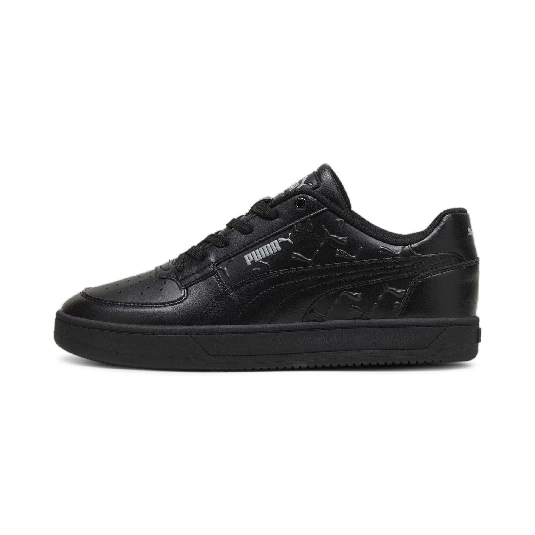 PUMA picture