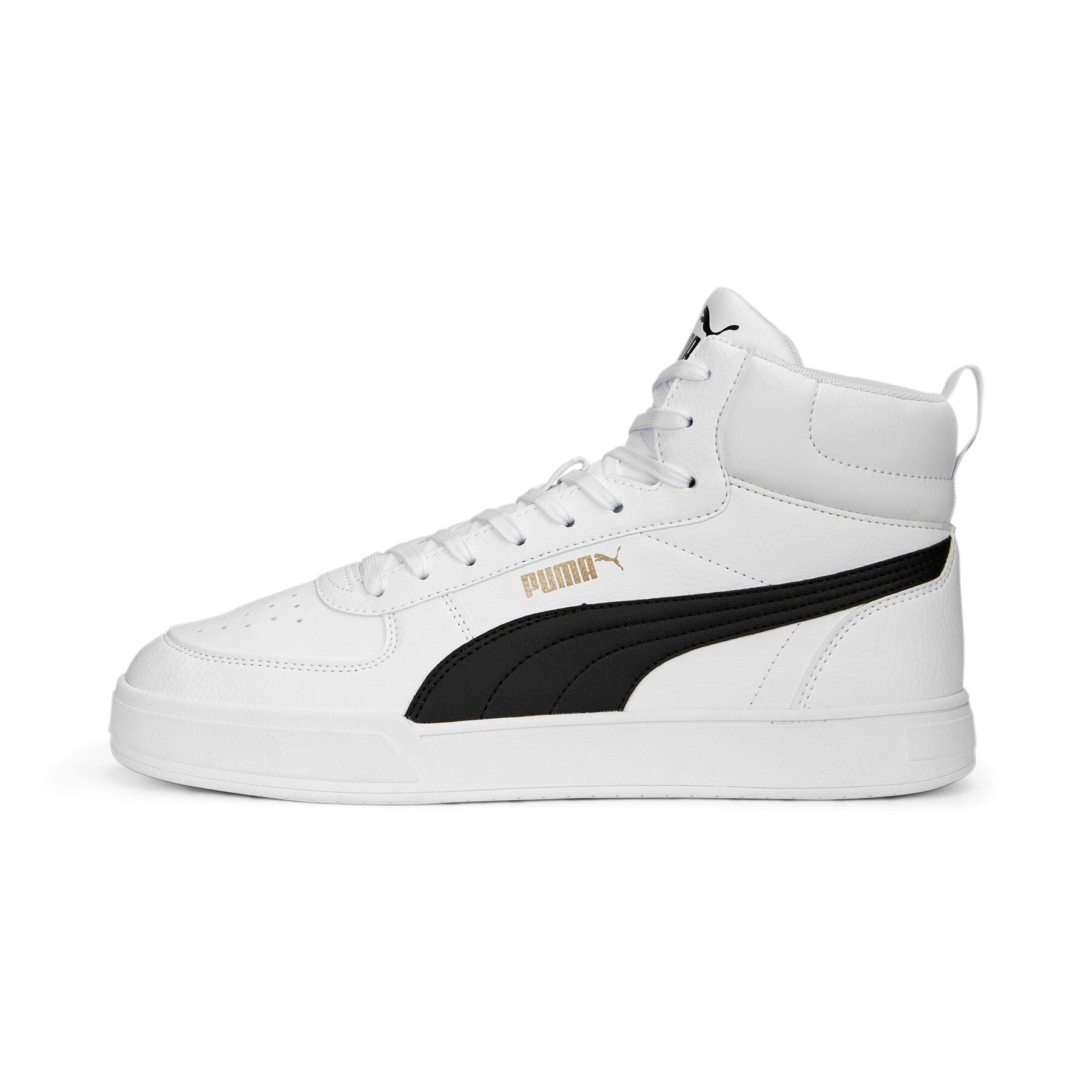 PUMA picture