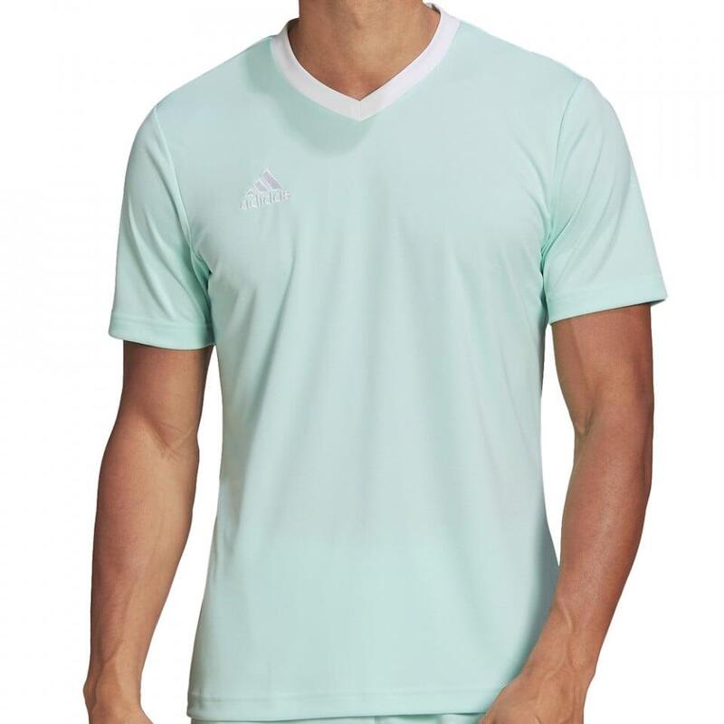 d12084fe-d5e3-4586-90be-25940addb185_c86