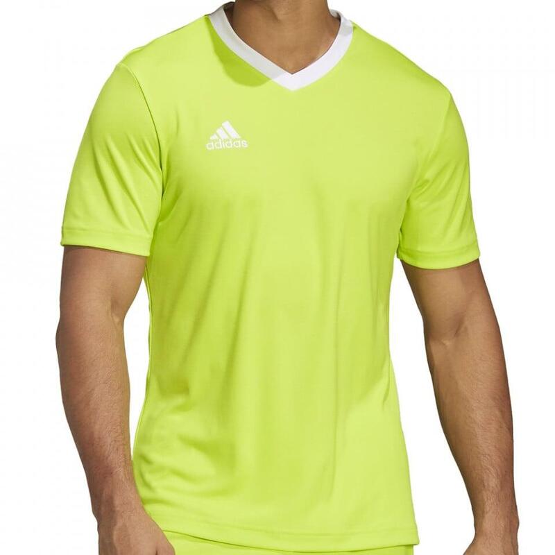 66fbdc88-c60d-499f-ad20-1b750cad65f8_c131