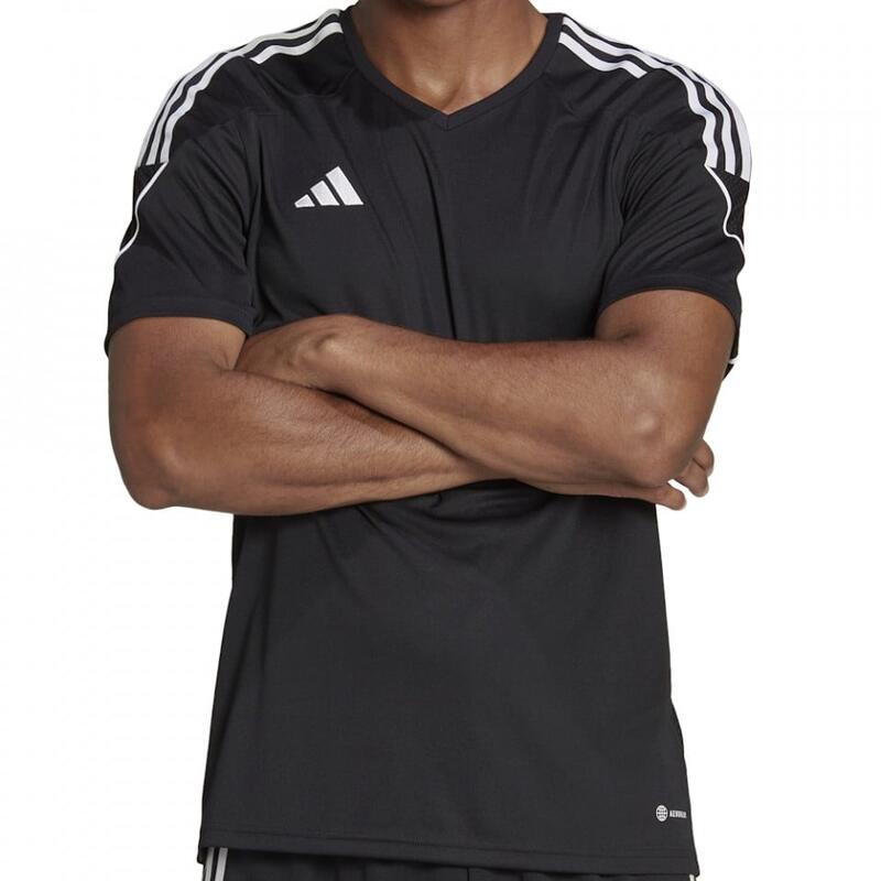 3ac7c7b9-f6f8-4594-9344-2d93e30431c3_c1