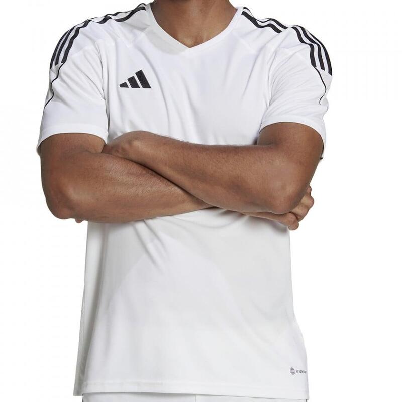 5963c112-d71a-4cf4-a368-a79df7132dcf_c4