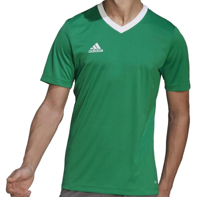 797e8eeb-279d-49a9-8e26-e9793acc1002_c9