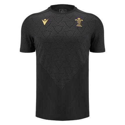 Maillot d'entraînement Pays de Galles 2024