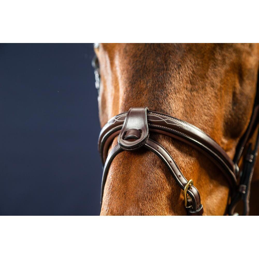 Sottopancia per cavallo con 2 clip rimovibili Dy'on 1/2 2/2