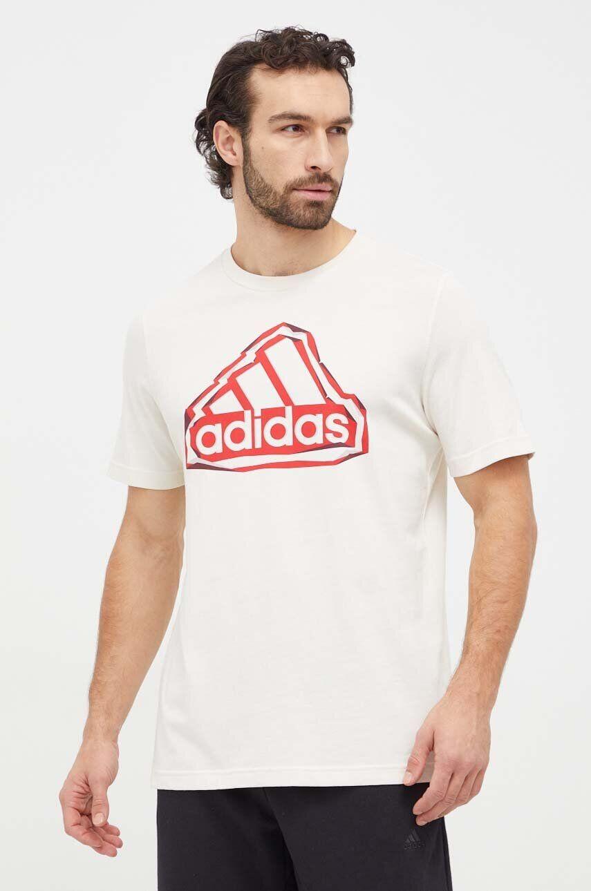 ADIDAS picture