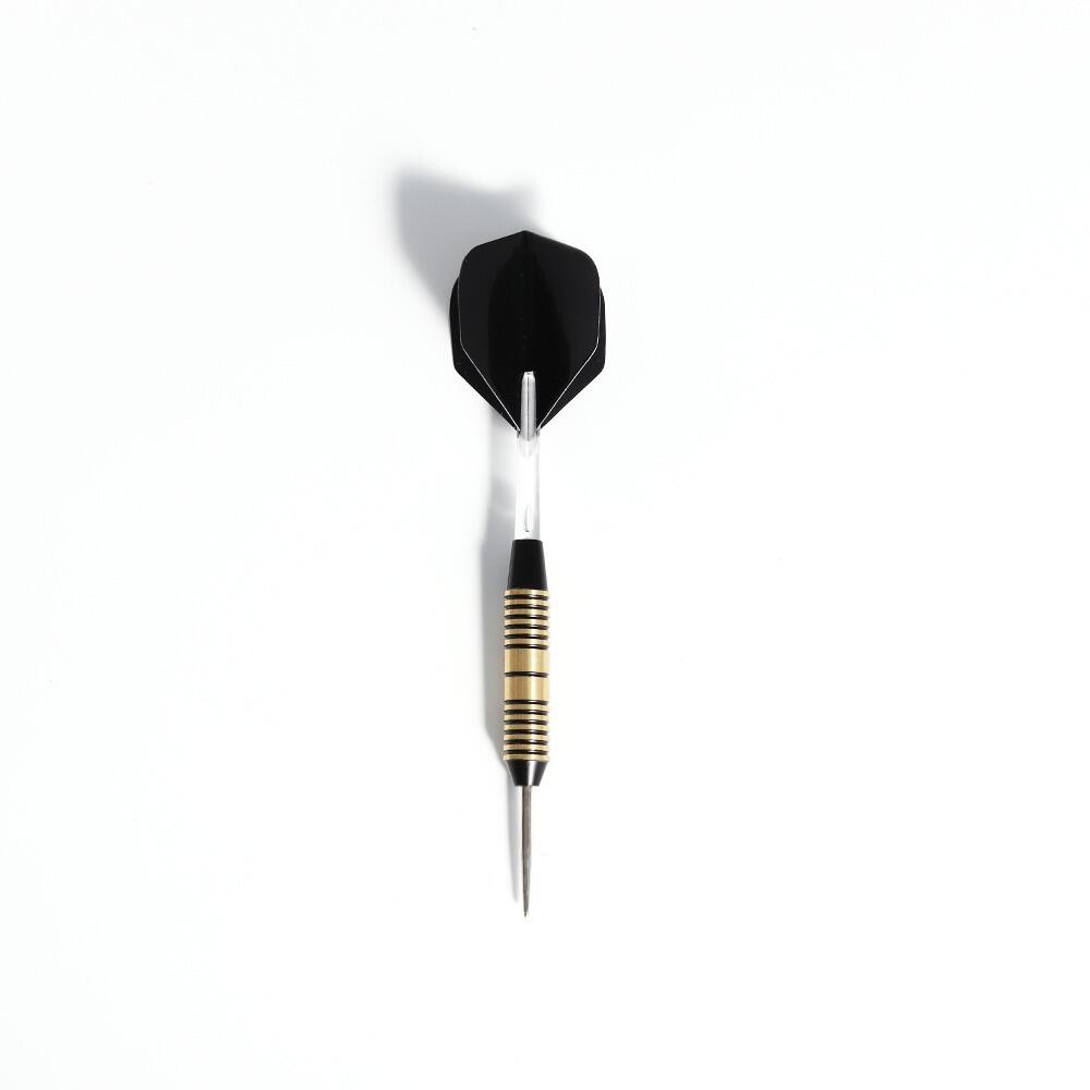 Pegasi Darts Set 25gr. Schwarz 2/5