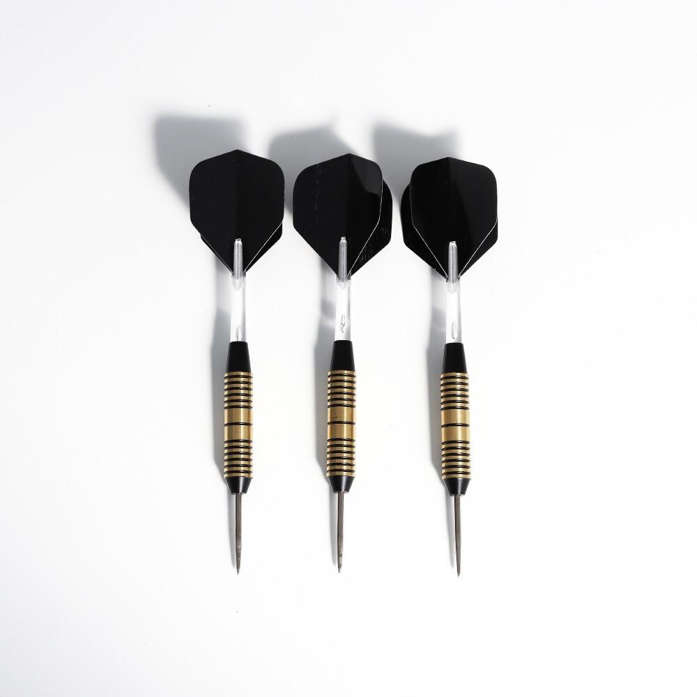 Pegasi Darts Set 25gr. Schwarz 4/5