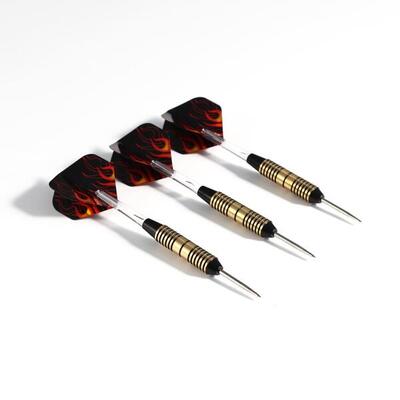 Pegasi dartpijlen set 25gr. flames