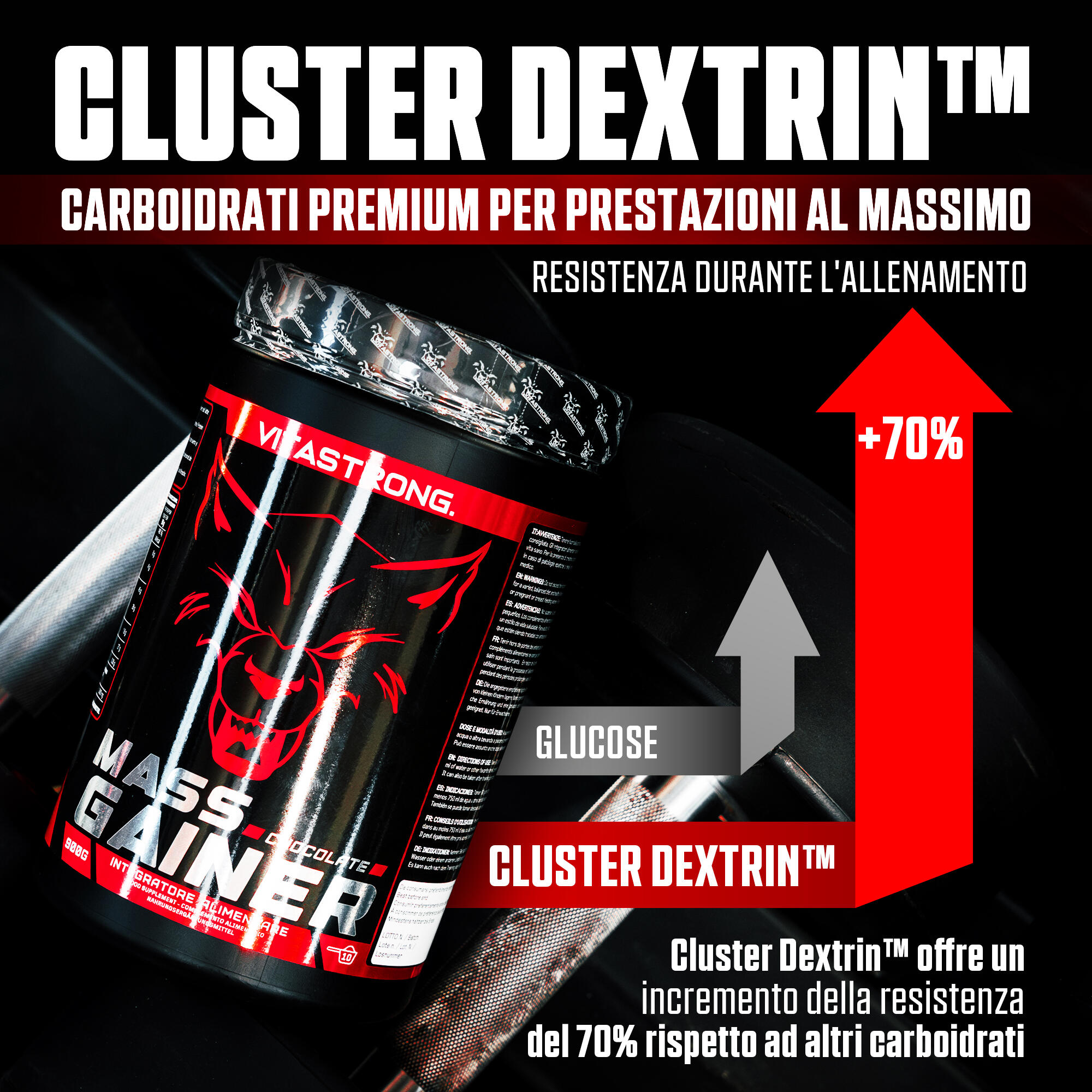 Mass Gainer VITASTRONG - 30% Proteine in Polvere, Cluster Dextrin™ 4/6