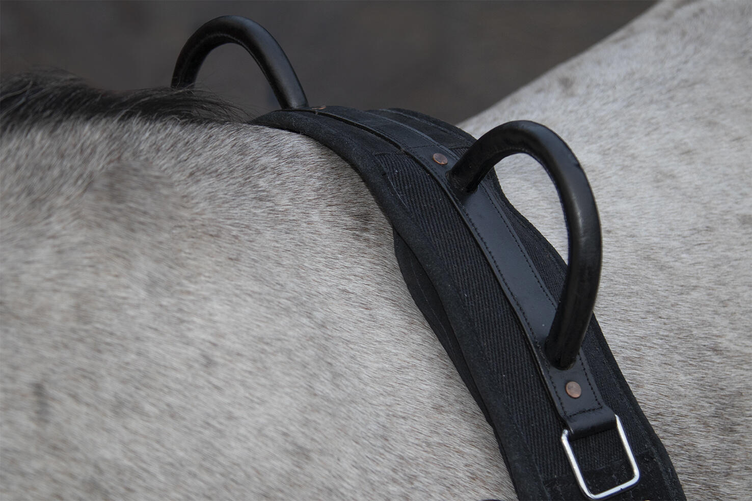 Paardensurfplank met handvat HKM Canvas 2/6