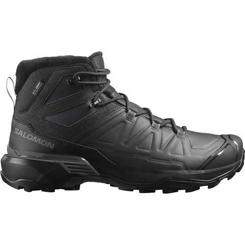 SALOMON picture