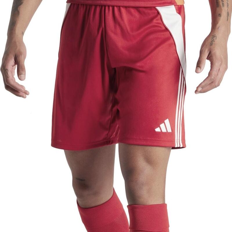 5ceaf666-12ee-42d3-a17d-0d590bfa1b3b_c14