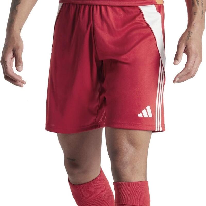 fec7e46b-03d6-4bdc-afa9-f2b61a84fafa_c14