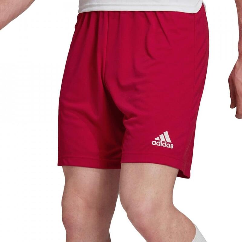 38c9bbe8-e2c3-4ea9-b3d8-108cedc9f5b2_c14