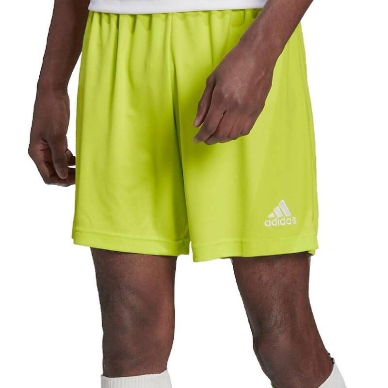 38c9bbe8-e2c3-4ea9-b3d8-108cedc9f5b2_c131