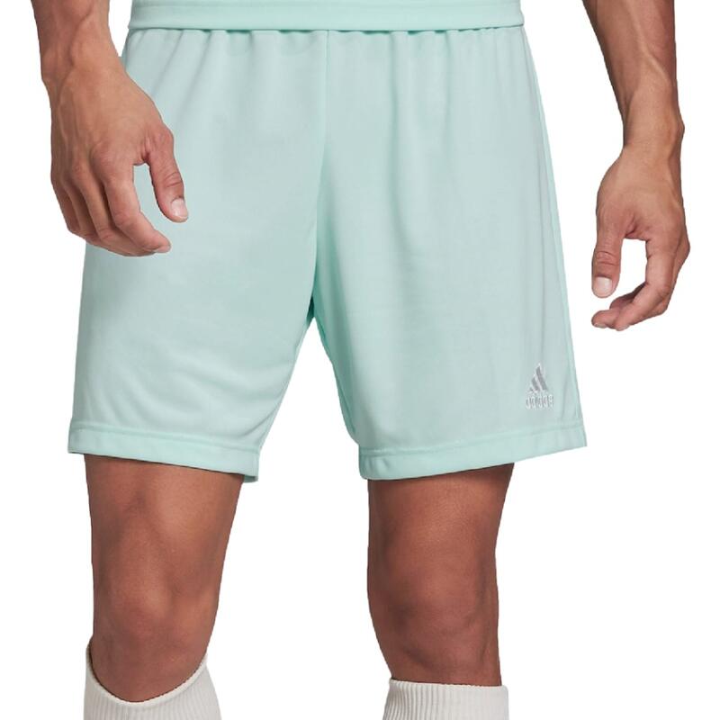 67e8f6c7-2dd5-4d0e-882b-44077c64f8e0_c86