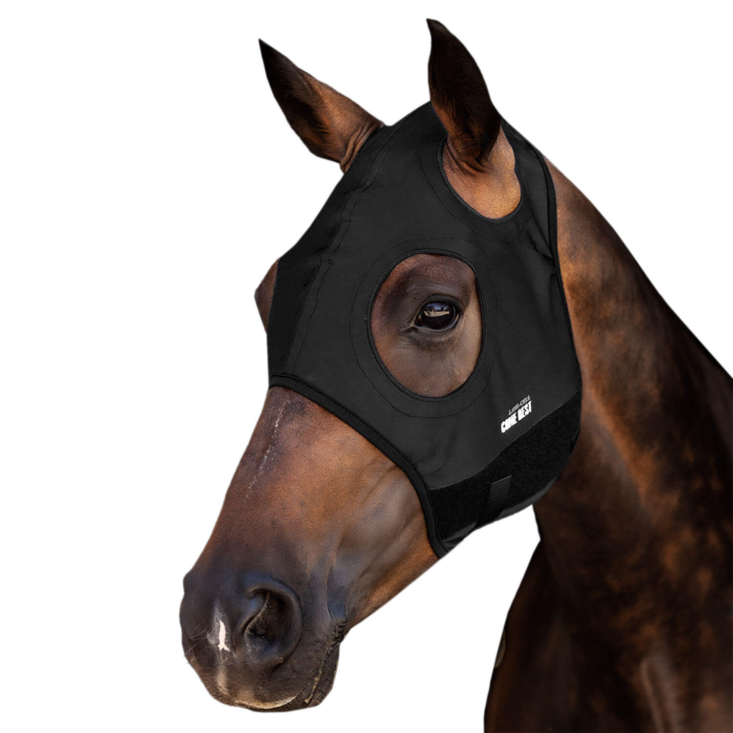 LAMI-CELL Maschera cavallo Come Best in titanio senza orecchie