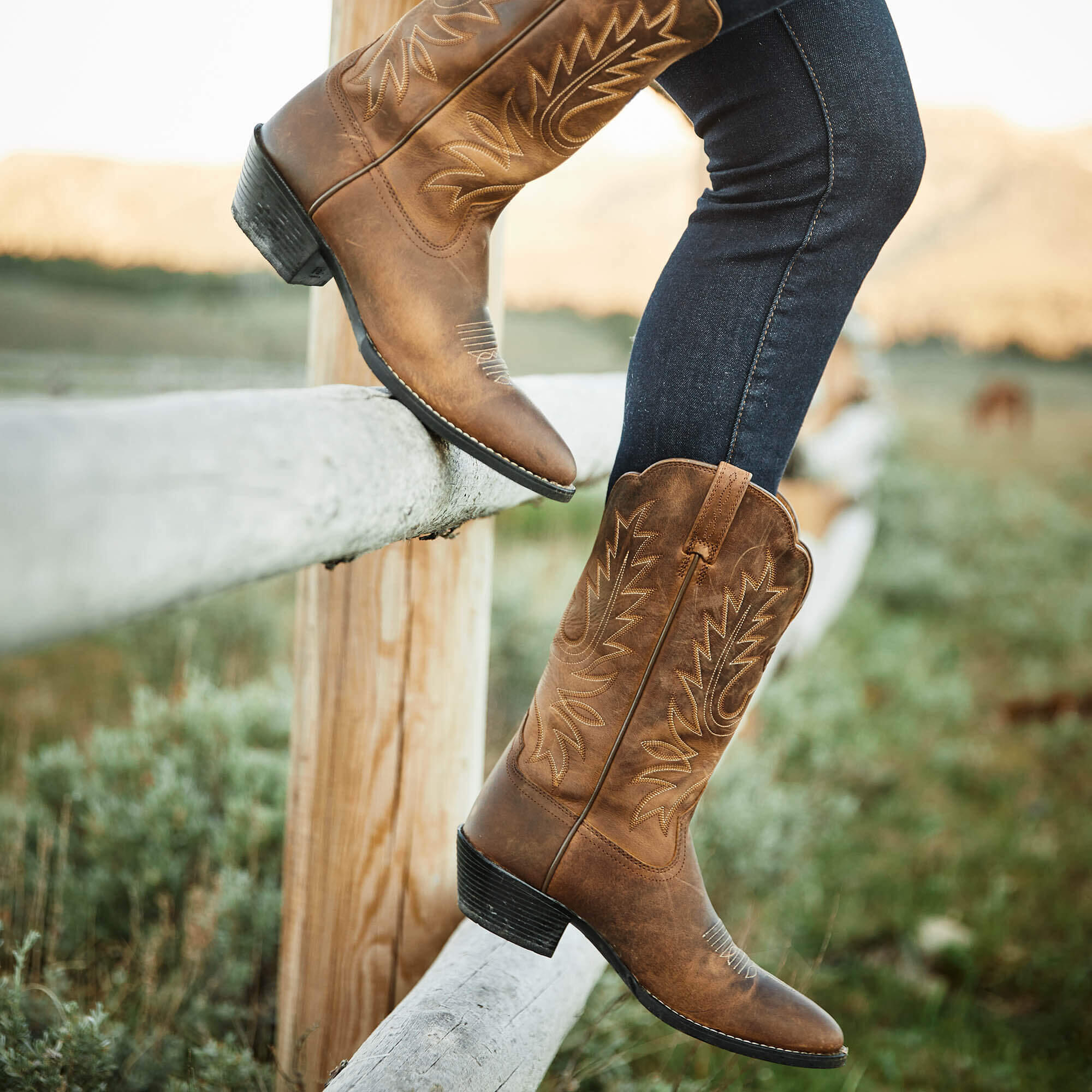 Westernstiefel aus Leder Frau Ariat Heritage R Toe 5/6
