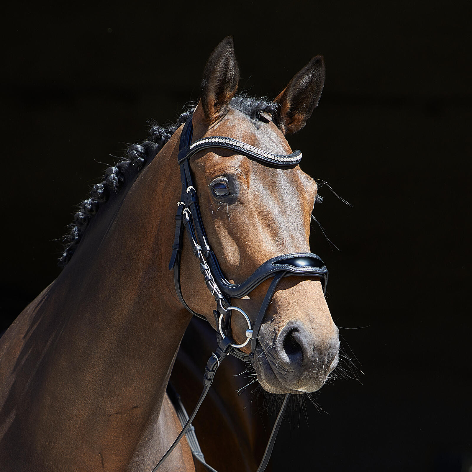 Briglia combinata da equitazione con nasello Kieffer Softtech Line Anouk 5/5