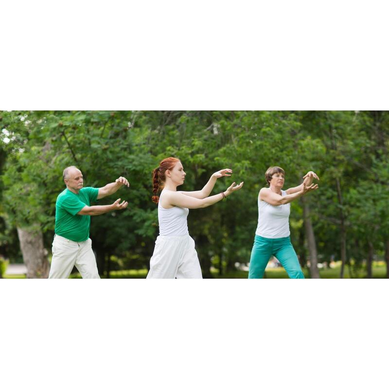 Qi Gong et randonnée en Vercors