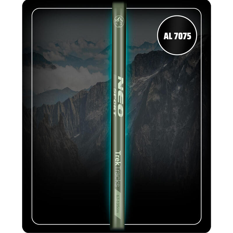 Baston de trekking 2 buc. Nordic Walking telescopic antișoc ajustabil EVA