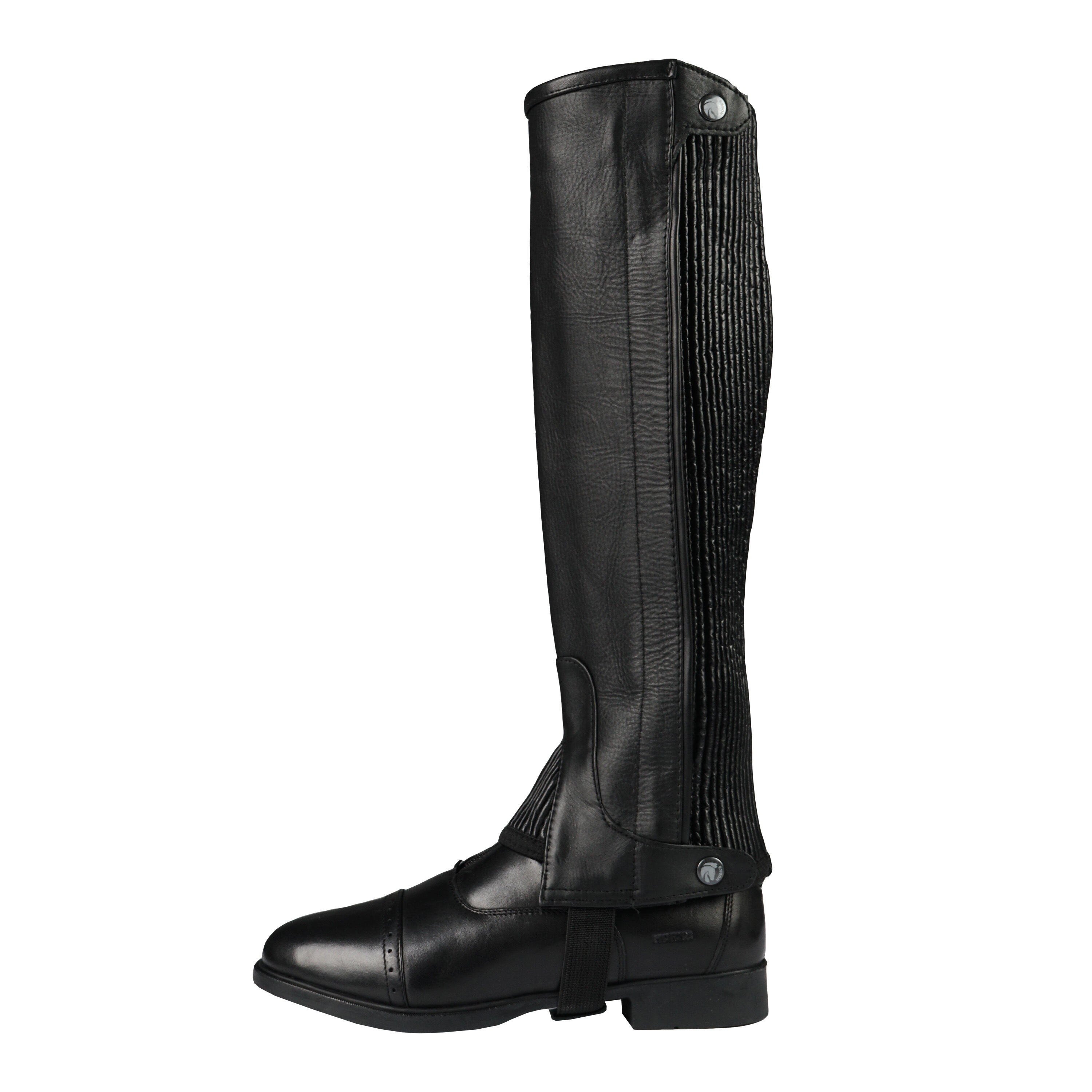 Chaps en cuir Horka 6/6