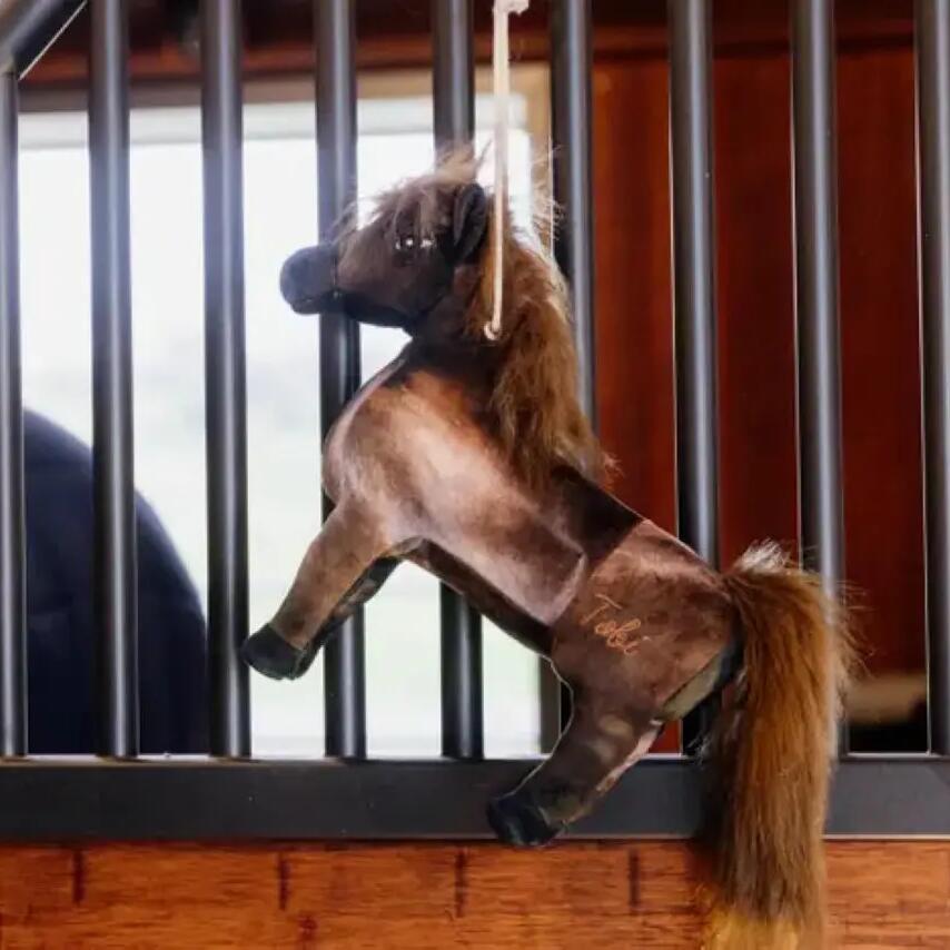 Horse toys Kentucky Relaxant Tableux