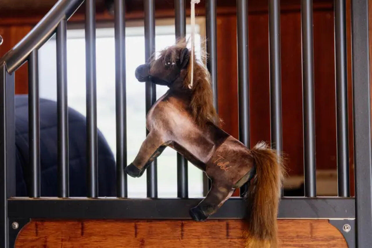 KENTUCKY HORSEWEAR picture