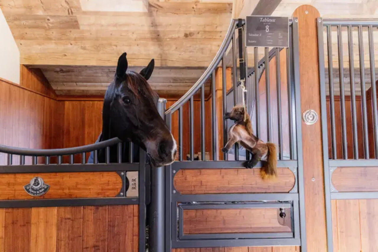 Kentucky Relax Horse Toy Tableux  - Tableux 2/7