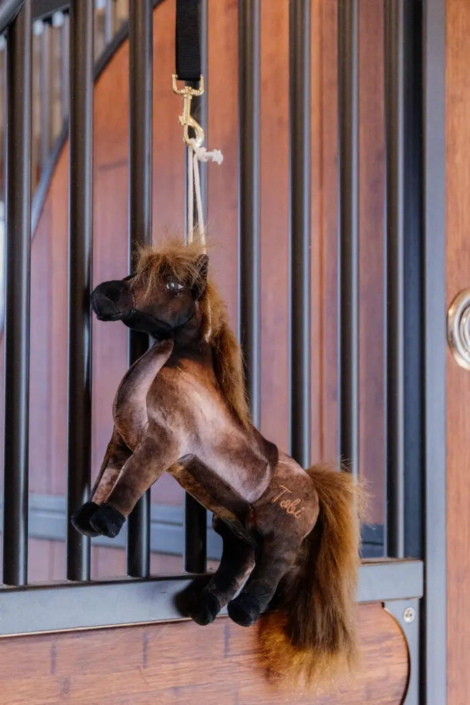 Kentucky Relax Horse Toy Tableux  - Tableux 3/7