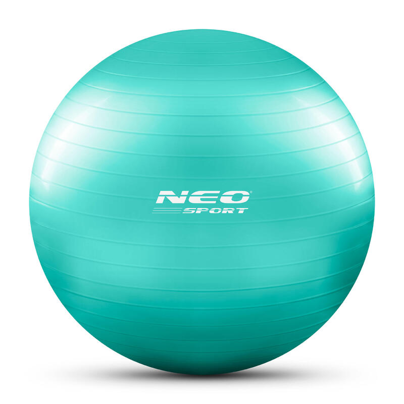 Minge de aerobic fitness 65cm NS-951 turcoaz.
