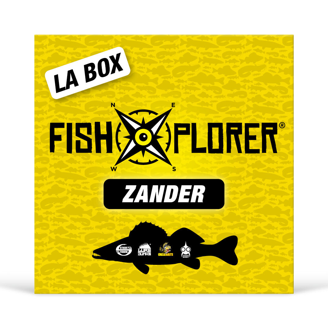 FISHXPLORER picture