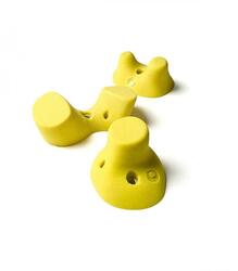 Prises d'escalade souche de sabine