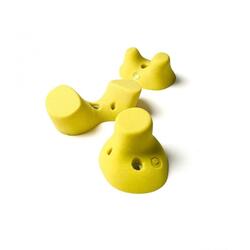 Prises d'escalade souche de sabine