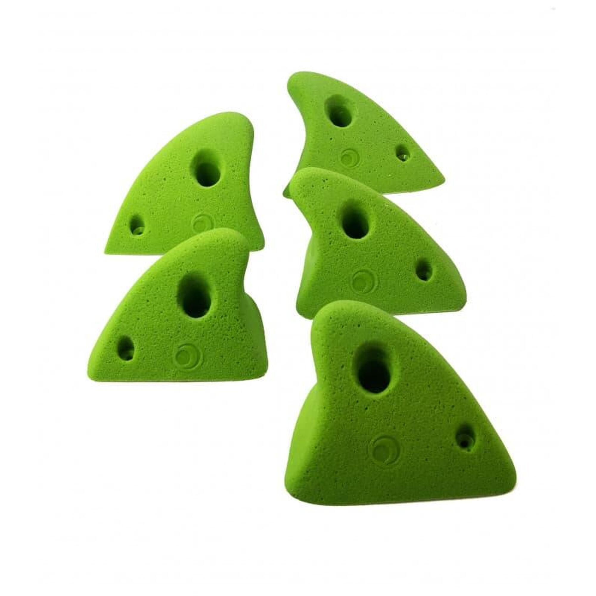 Prises d'escalade Shark taille L