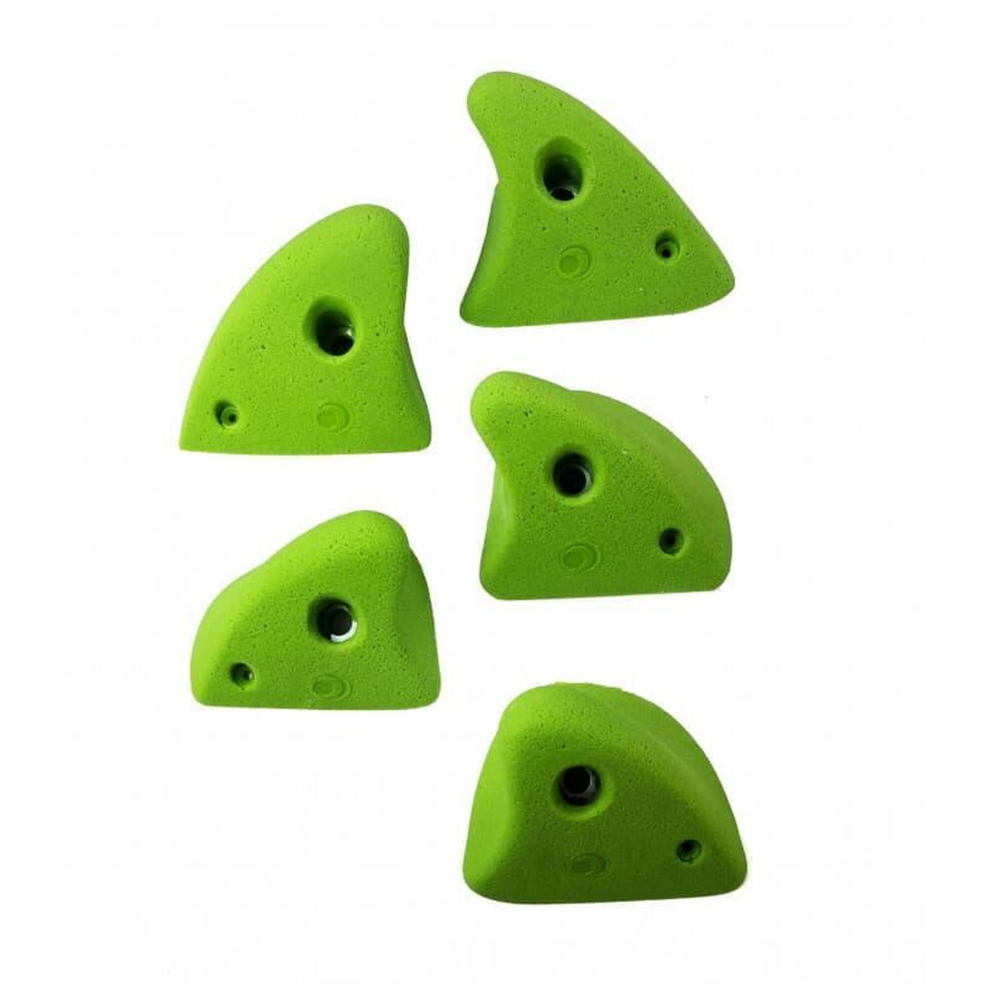 Prises d'escalade Shark taille L