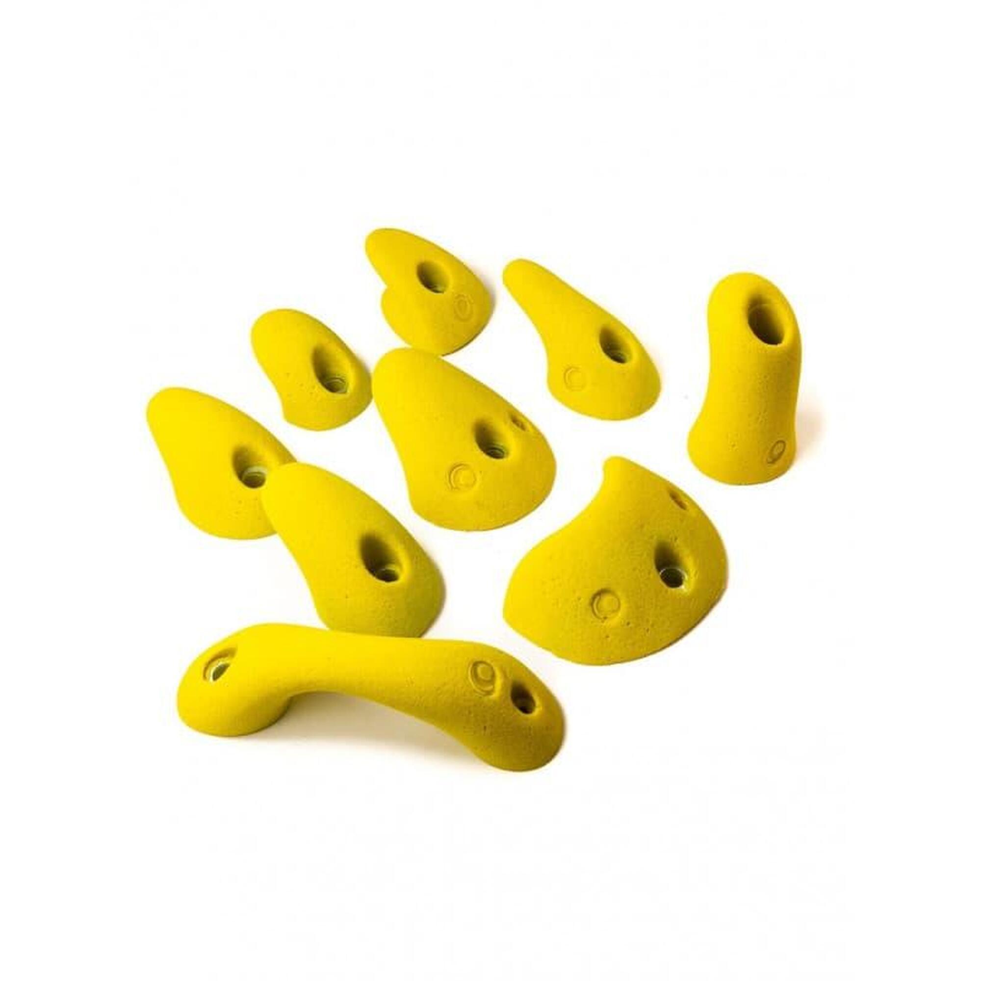 ed050e00-c6e1-416c-a4a0-d62f16e31349_c255