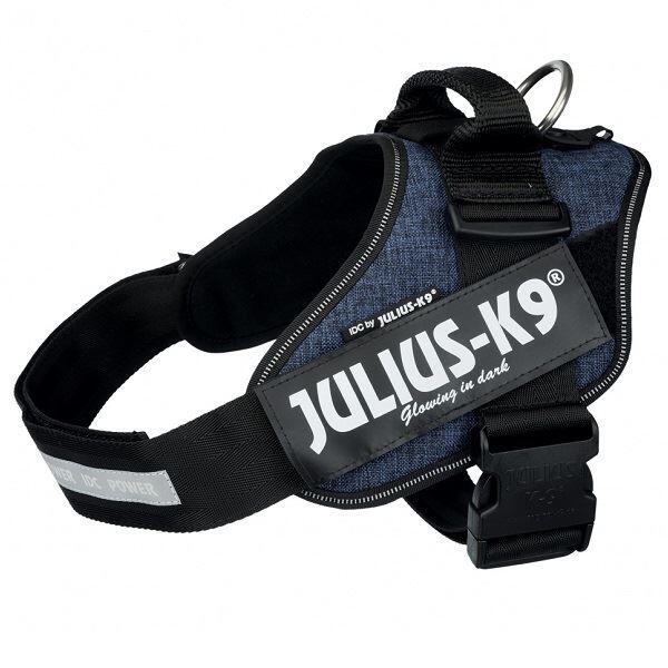 JULIUS-K9 picture