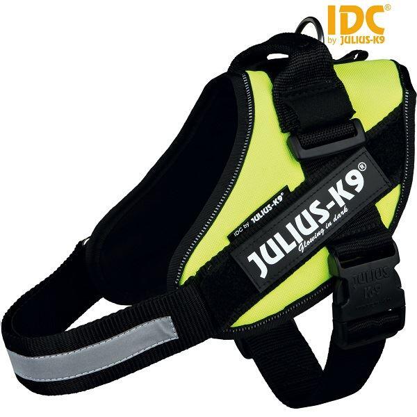 JULIUS-K9 picture