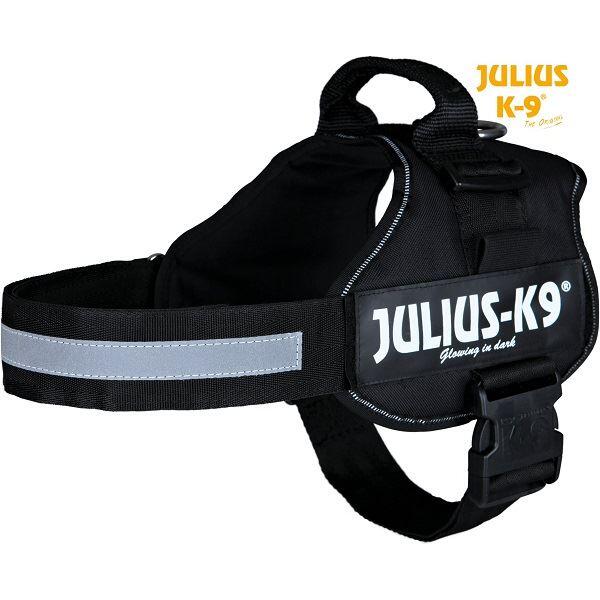 JULIUS-K9 picture