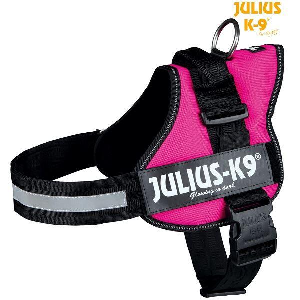 JULIUS-K9 picture